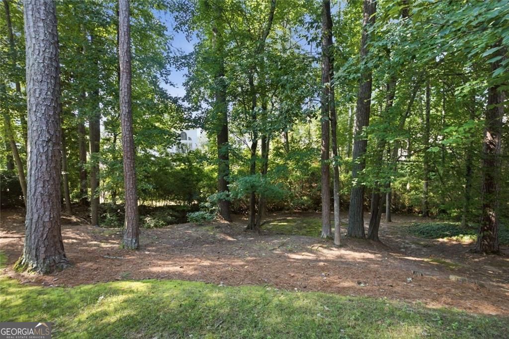 2046 Kinsmon Drive Property Photo 38