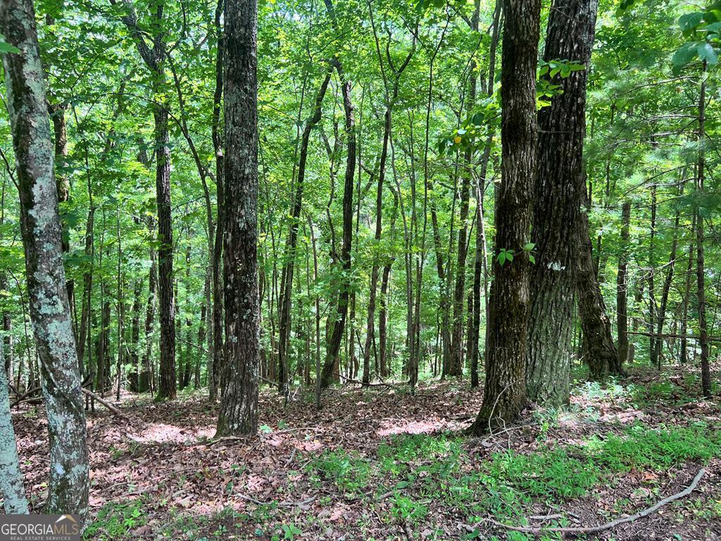 LT G667-G68 Mountain Oak Road Property Photo 1