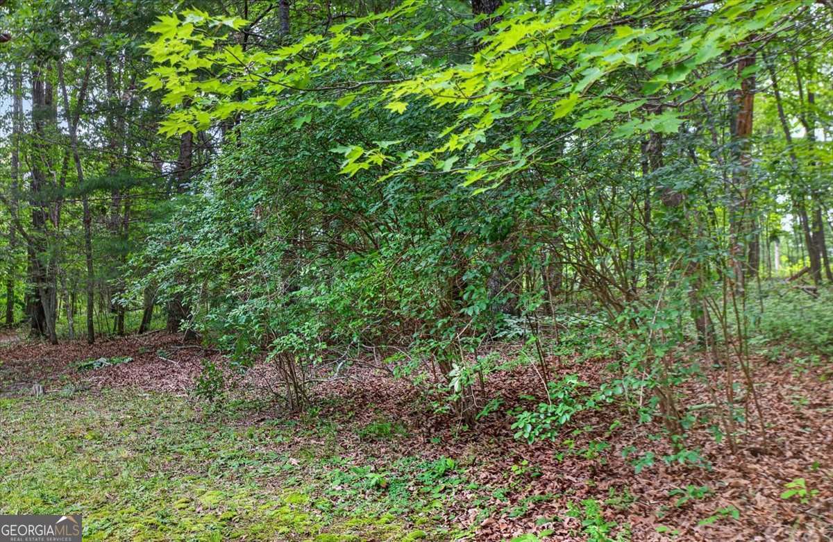 271 Broken Arrow Trail Property Photo 38