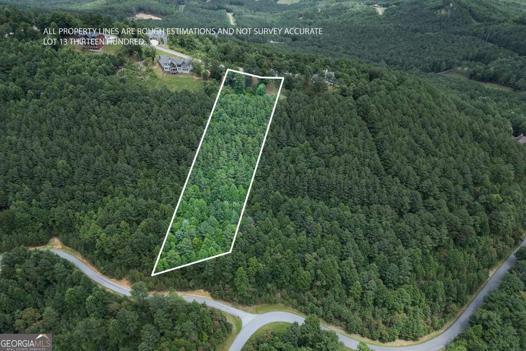 LOT 13 Thirteen Hundred Property Photo 1