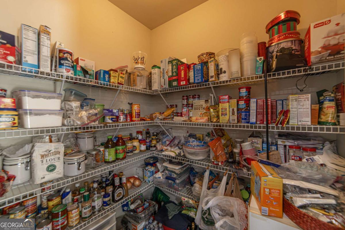 2445 Fisk Falls Drive Property Photo 48