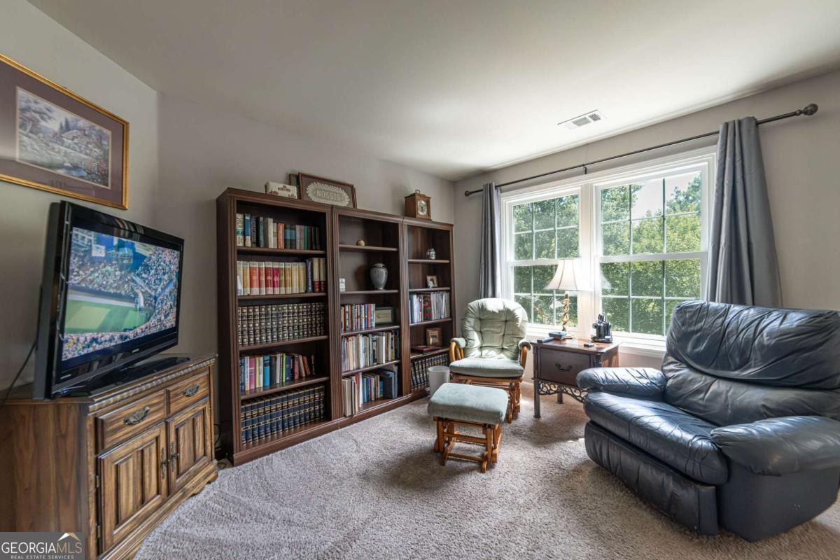2445 Fisk Falls Drive Property Photo 72