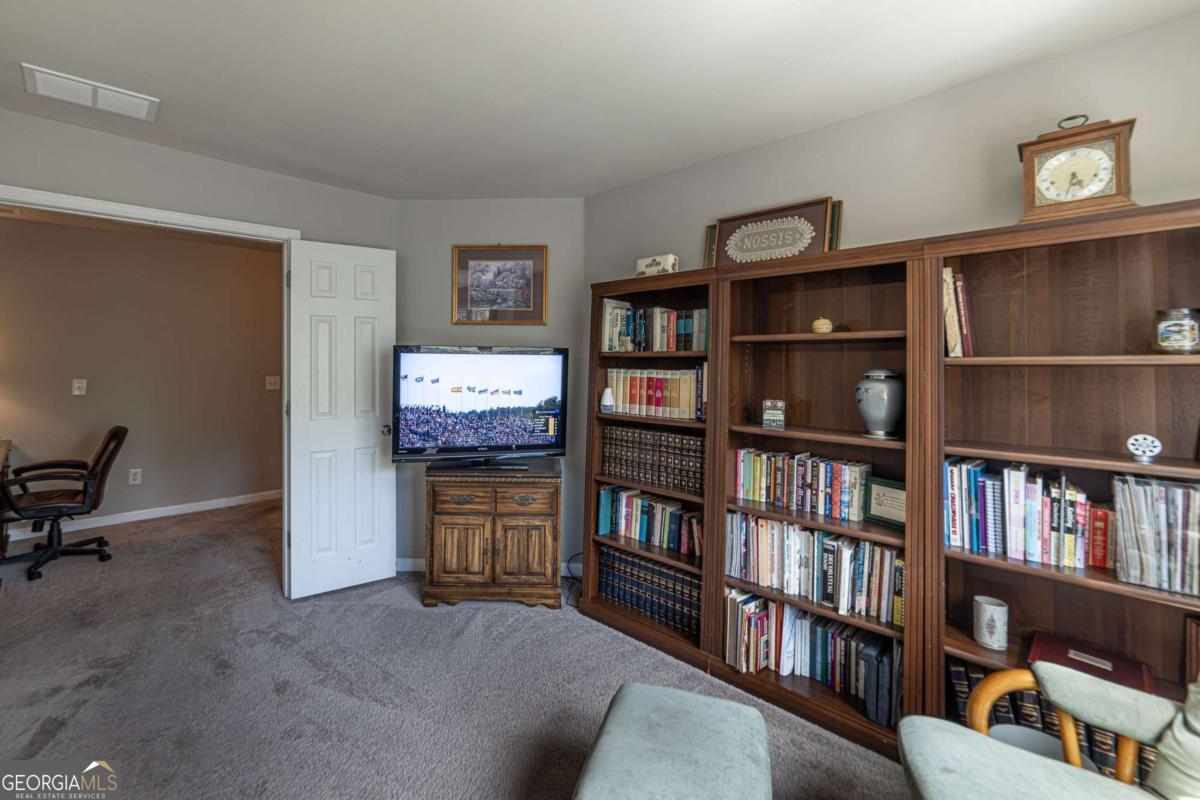 2445 Fisk Falls Drive Property Photo 77