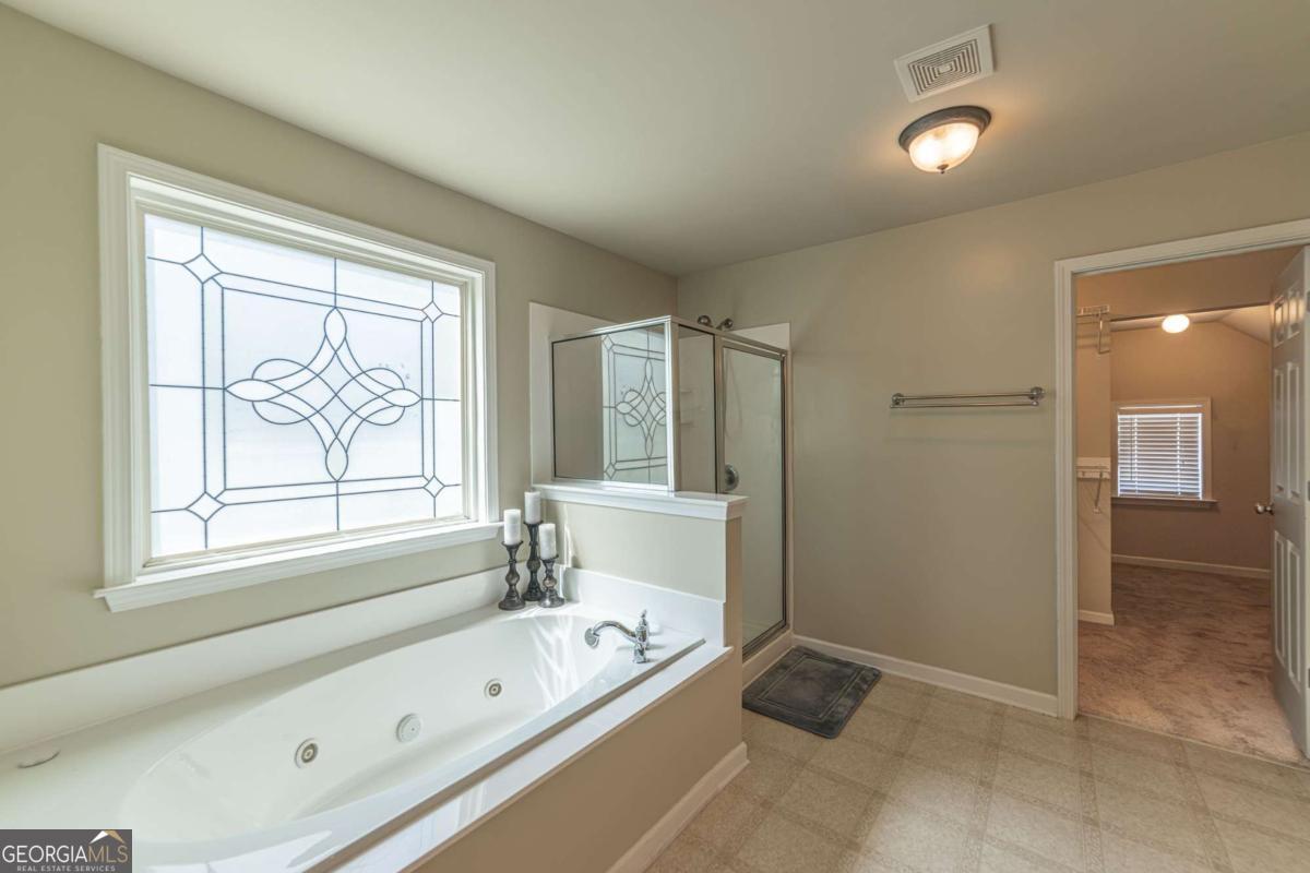 2445 Fisk Falls Drive Property Photo 80