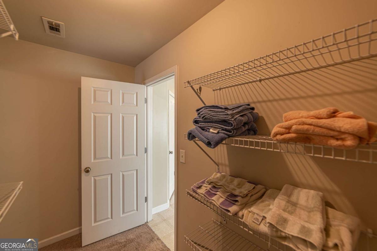 2445 Fisk Falls Drive Property Photo 89