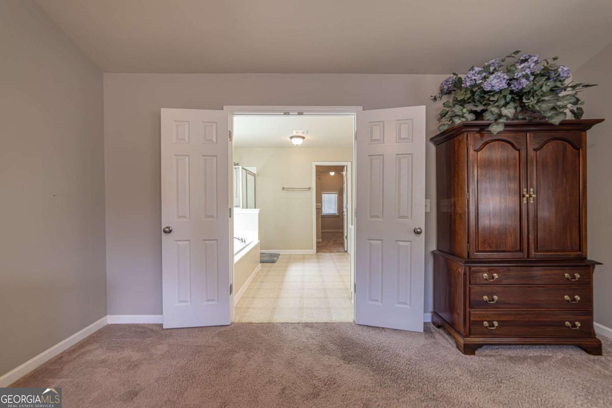 2445 Fisk Falls Drive Property Photo 93