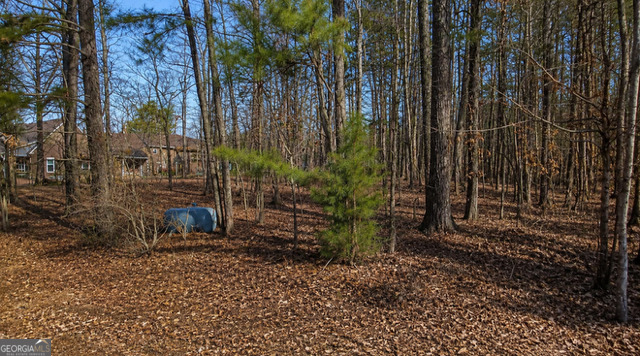 1141 Brannon Drive Property Photo 3