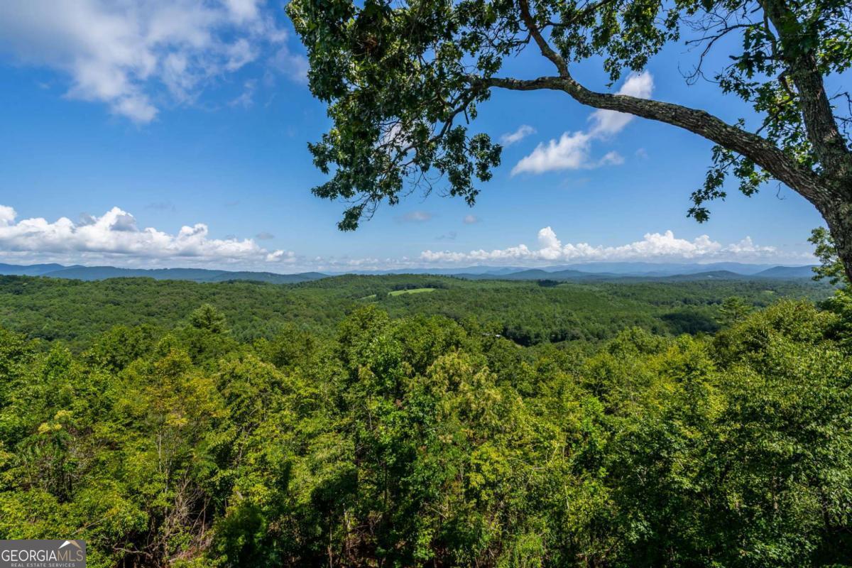 334 Hawksclaw Trail Property Photo 4