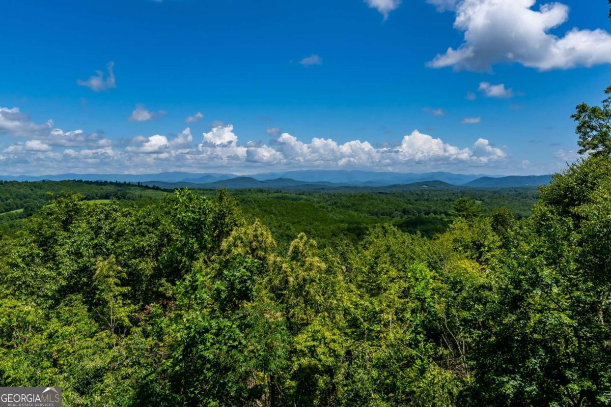 334 Hawksclaw Trail Property Photo 51