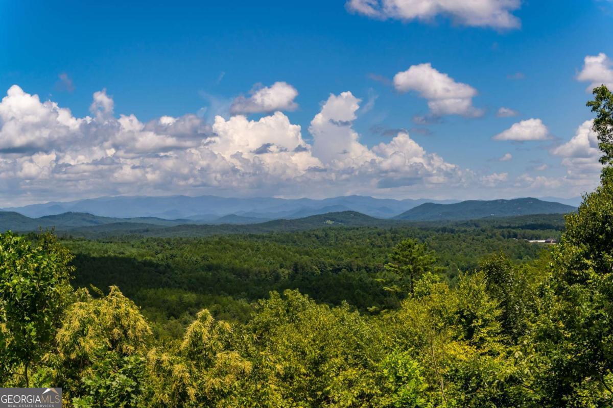 334 Hawksclaw Trail Property Photo 62