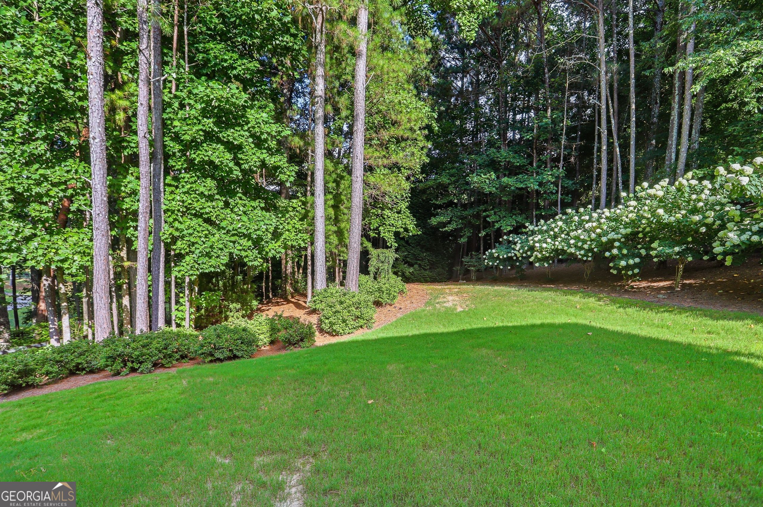 1836 Heritage Pass Property Photo 53