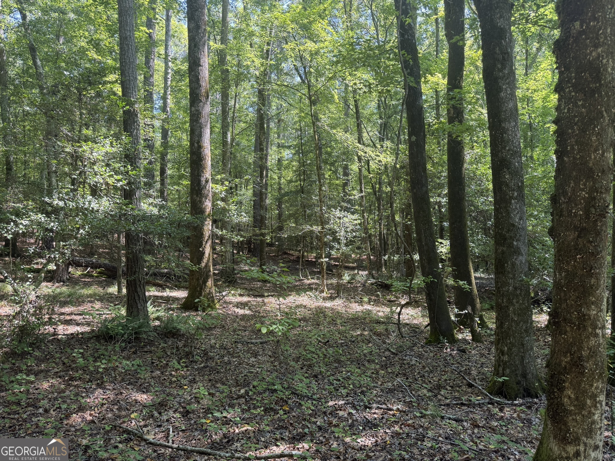 0 Hulmes Chapel Property Photo 2