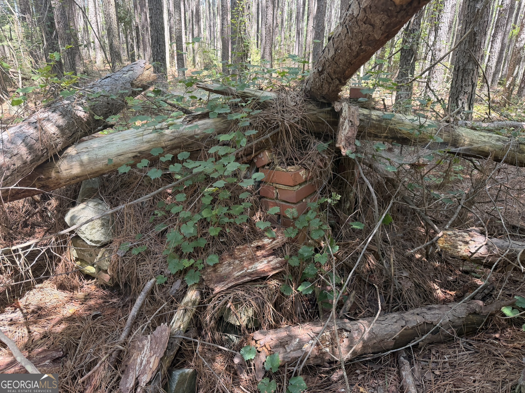 0 Hulmes Chapel Property Photo 14