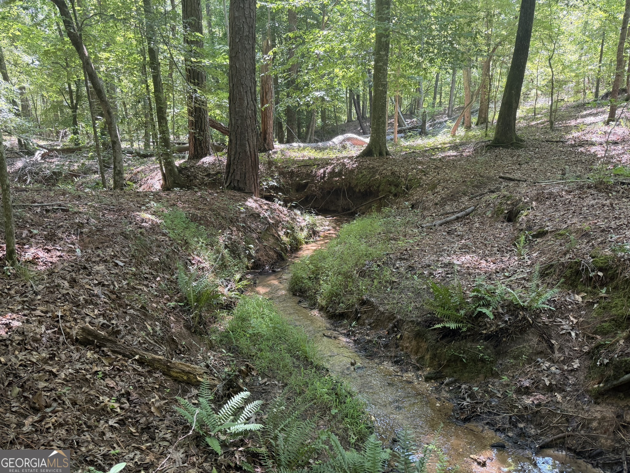 0 Ruckersville Road Property Photo 1