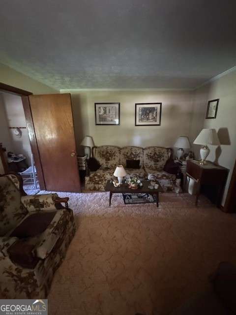 1370 Ham Fork Road Property Photo 5