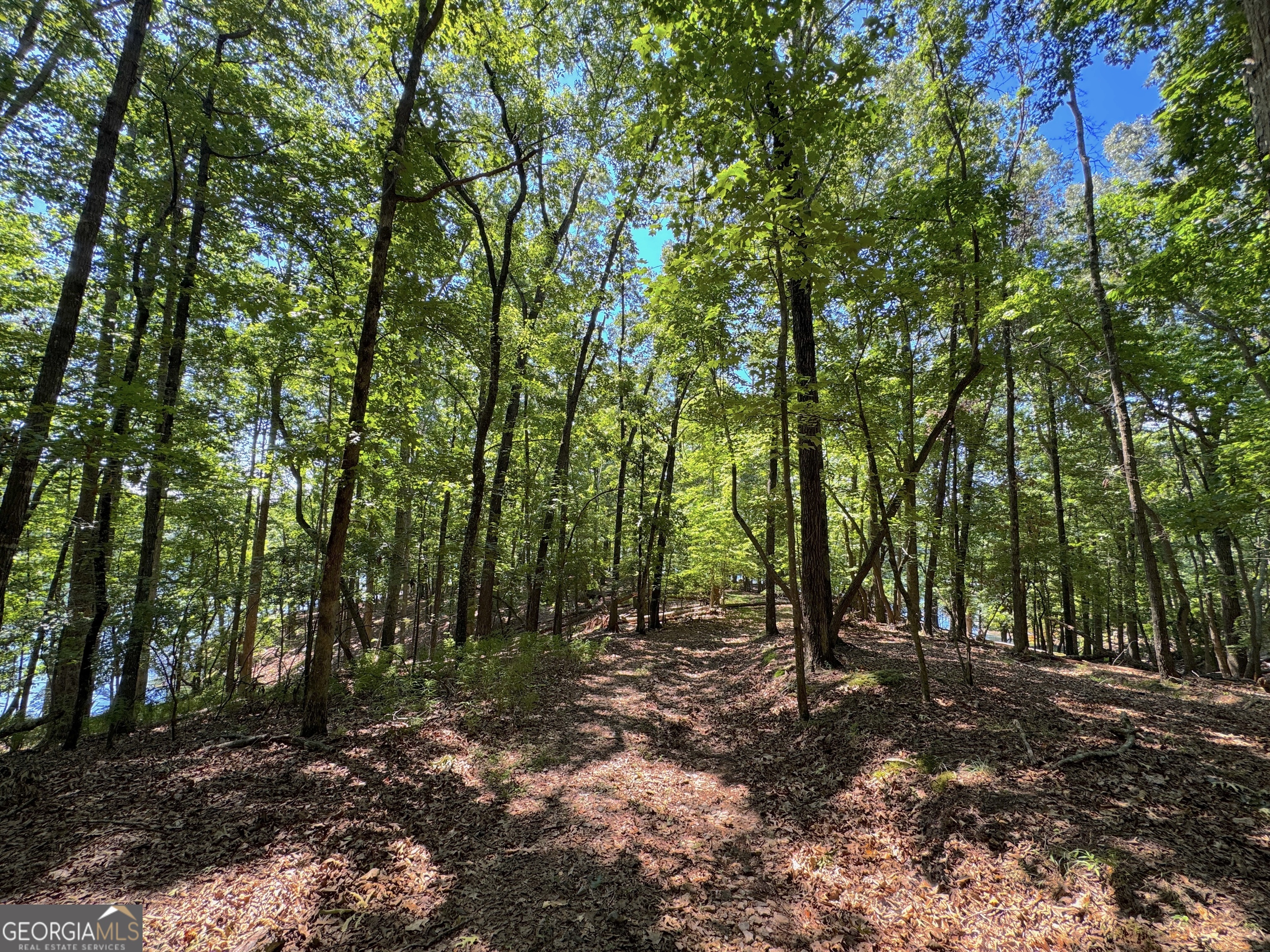3475 Cook Road Property Photo 13