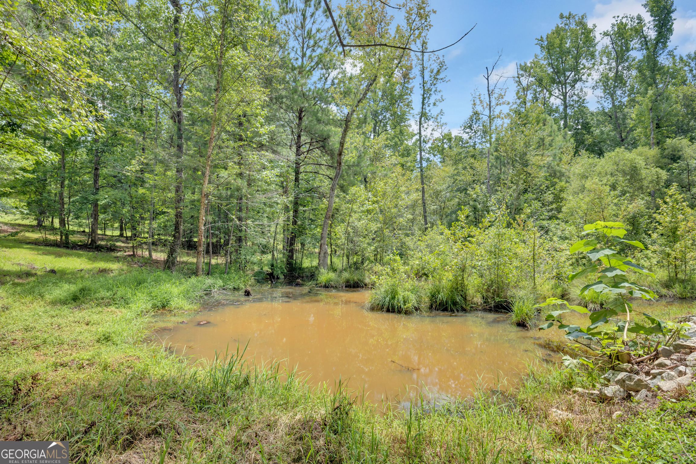 1276 Long Piney Road Property Photo 43