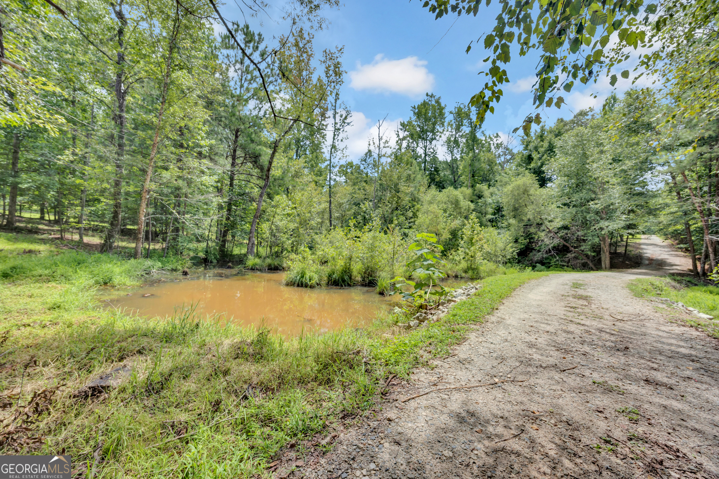 1276 Long Piney Road Property Photo 50