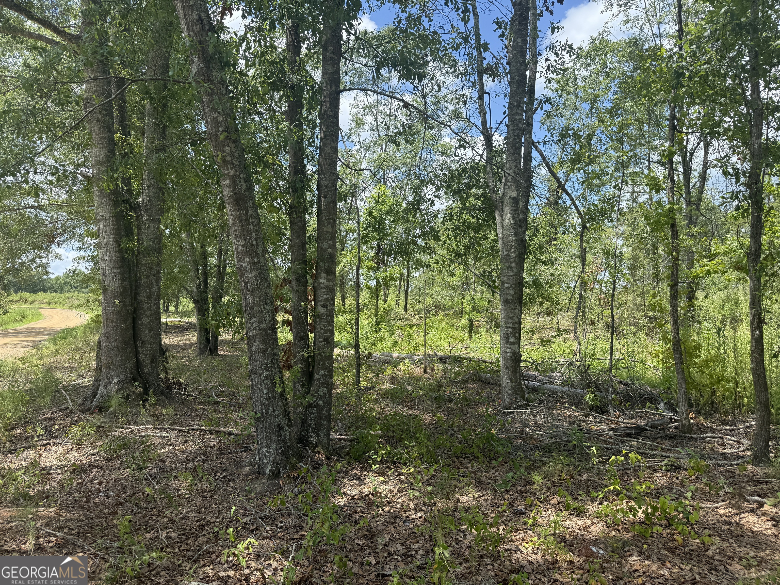 Helton Corner L Highway 80 Property Photo 5
