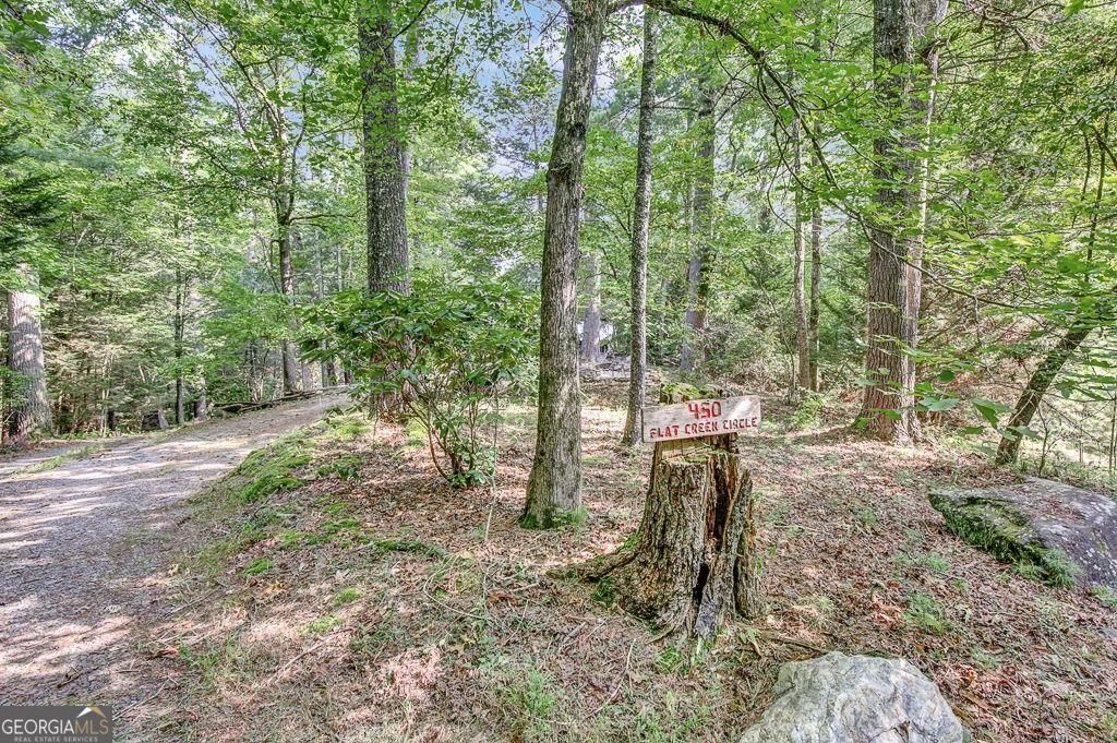 450 Flat Creek Circle Property Photo 85