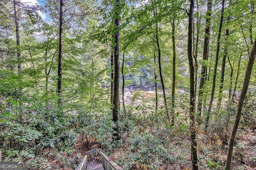 450 Flat Creek Circle Property Photo 92