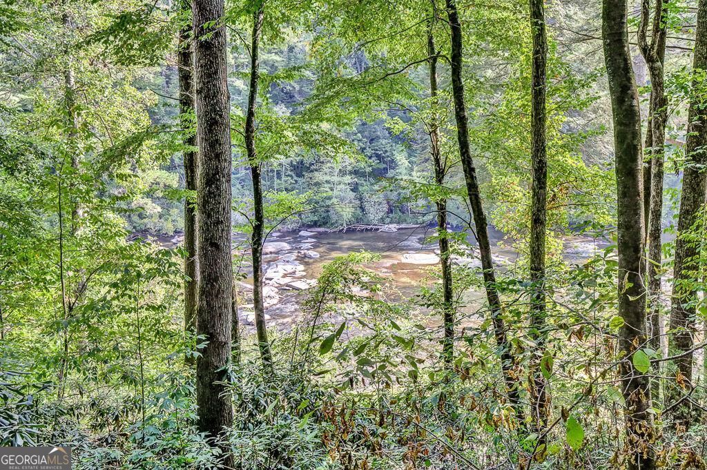 450 Flat Creek Circle Property Photo 94