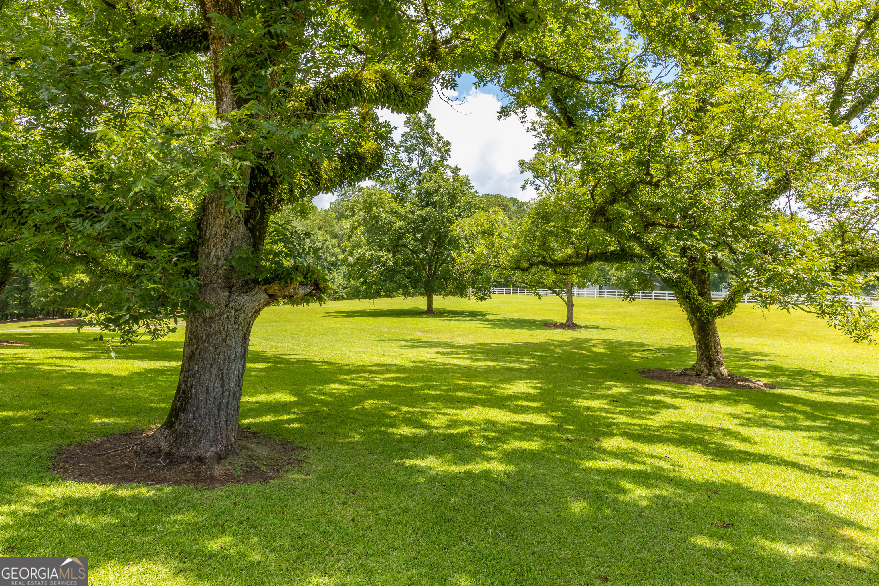 624 Spring Creek Road Property Photo 101