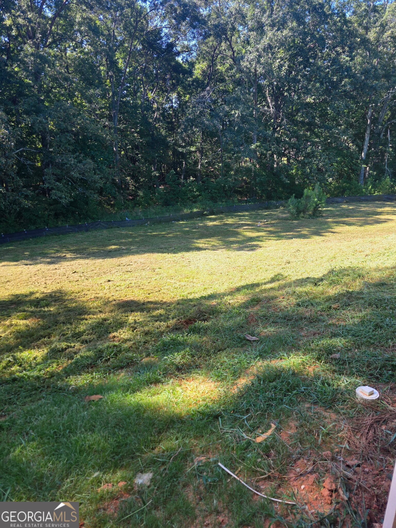 164 Charlotte Drive Property Photo 18