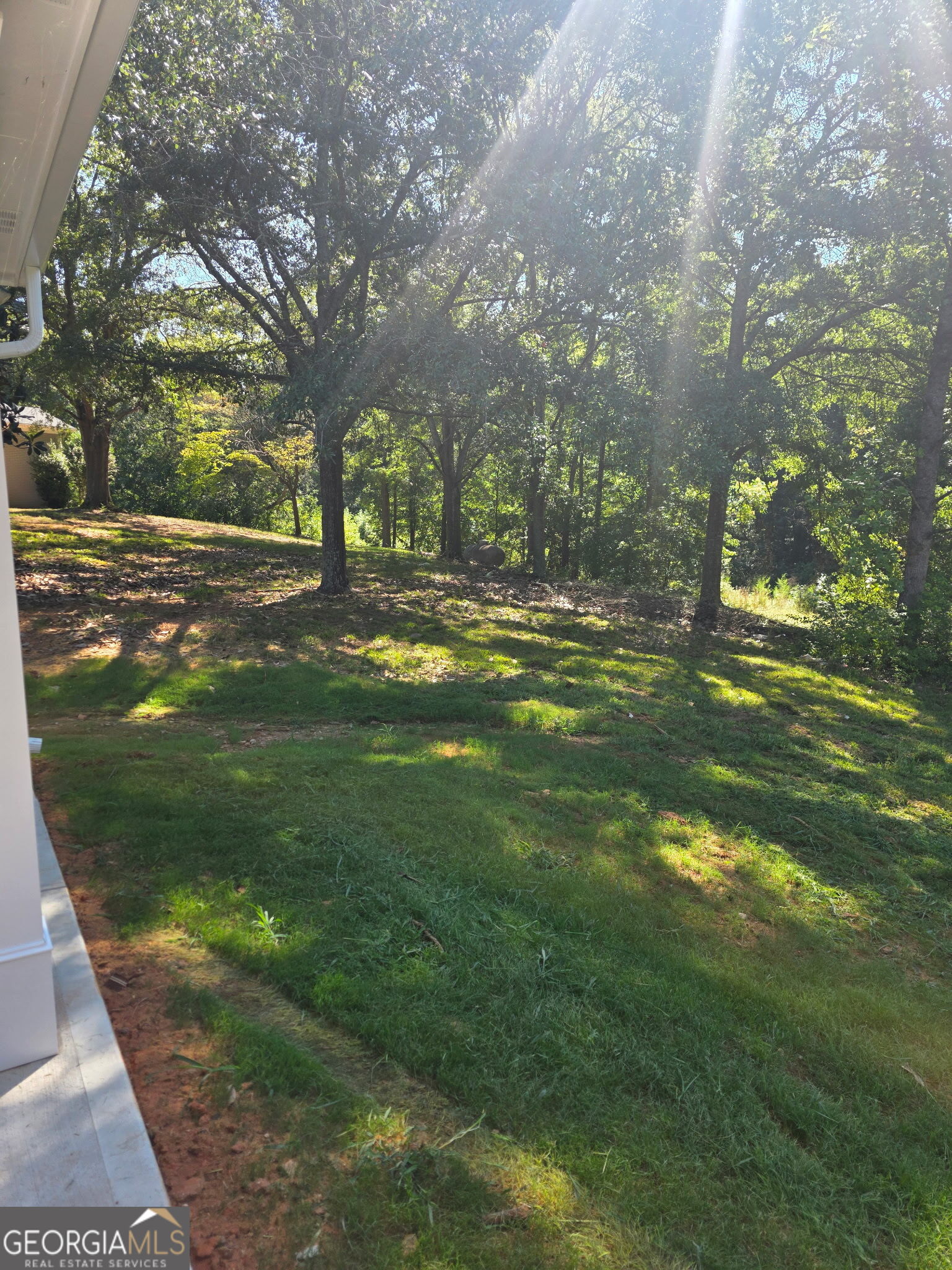 164 Charlotte Drive Property Photo 19