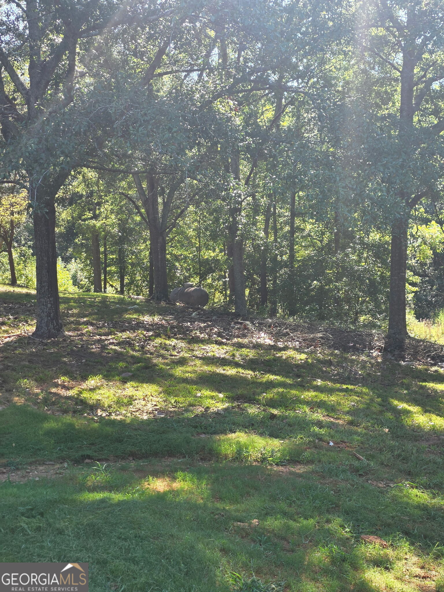 164 Charlotte Drive Property Photo 20