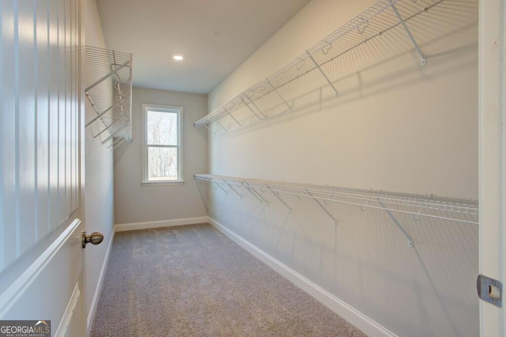4180 Miraz Court Property Photo 13
