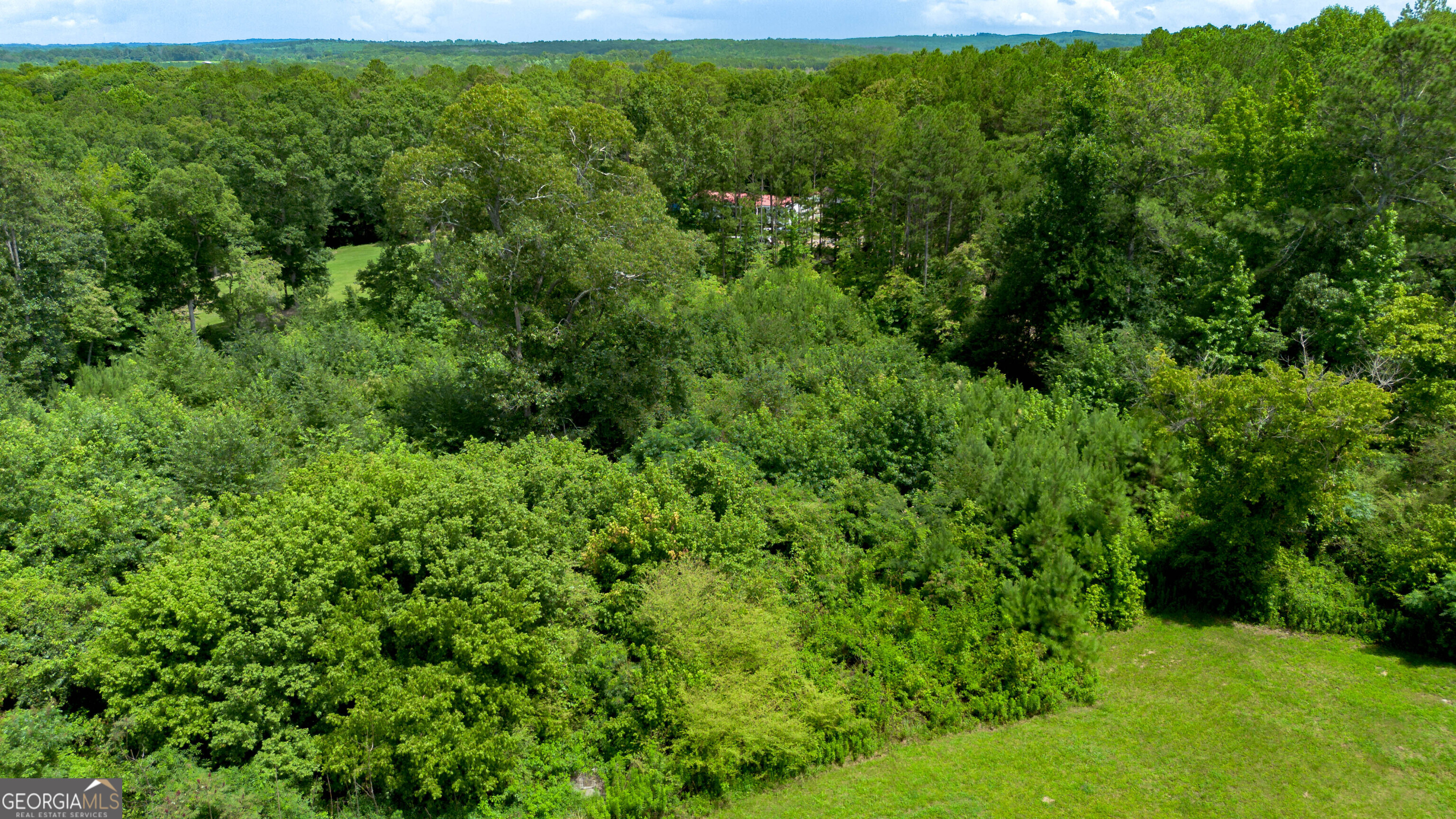Tract 5 Couinty Road 447 Property Photo 8