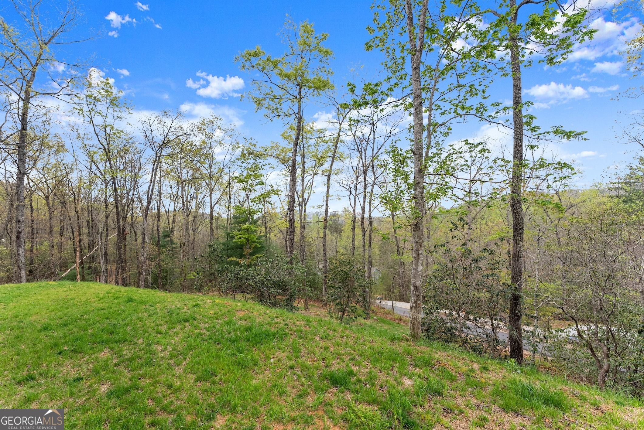 527 Abby Property Photo 39