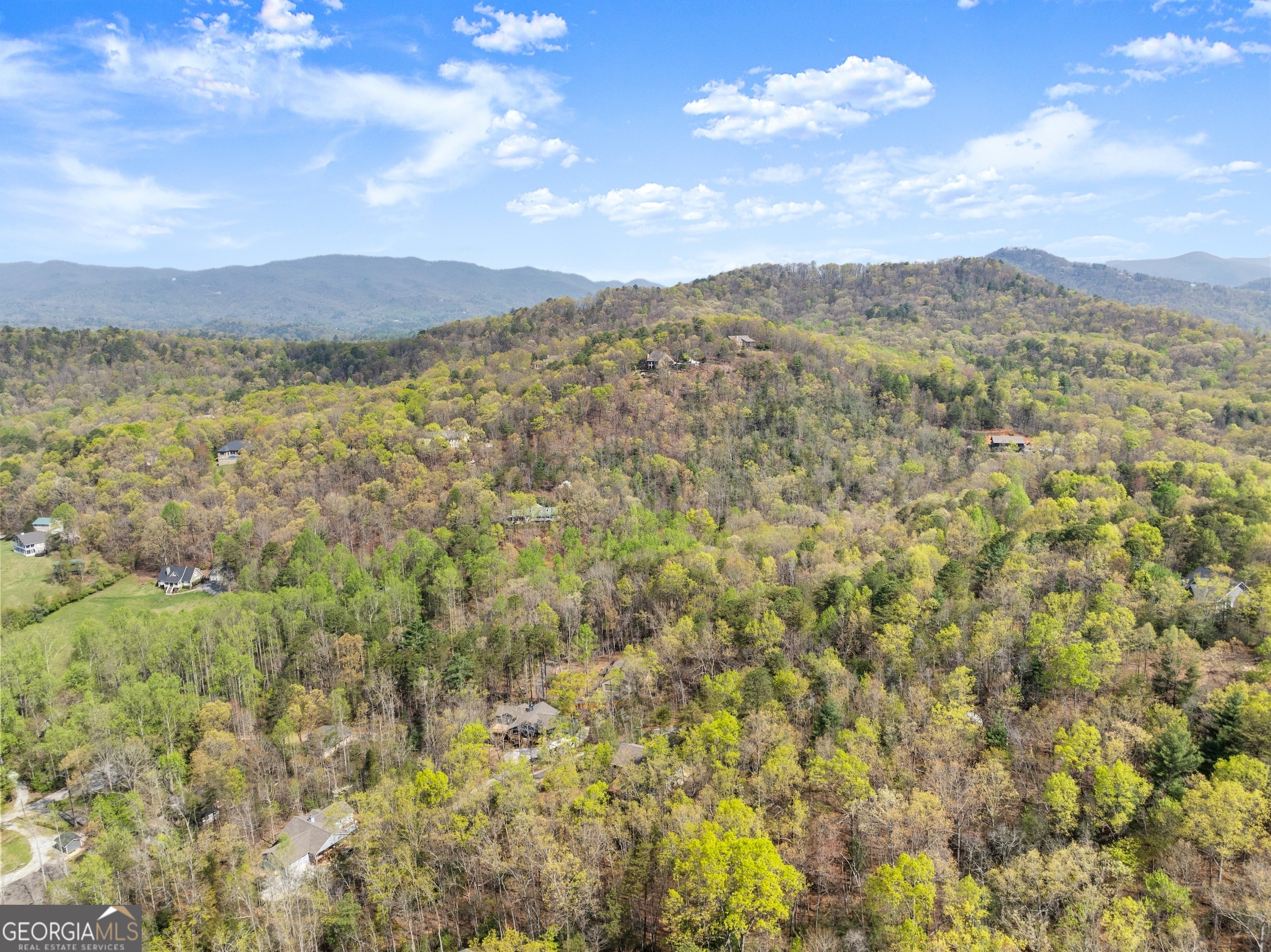 527 Abby Property Photo 43