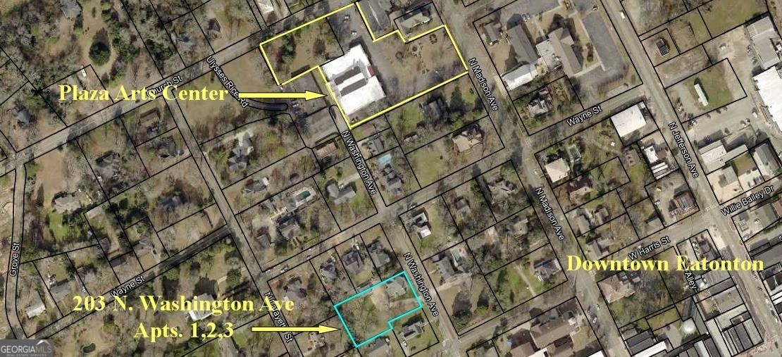 203 N Washington Avenue Property Photo 29