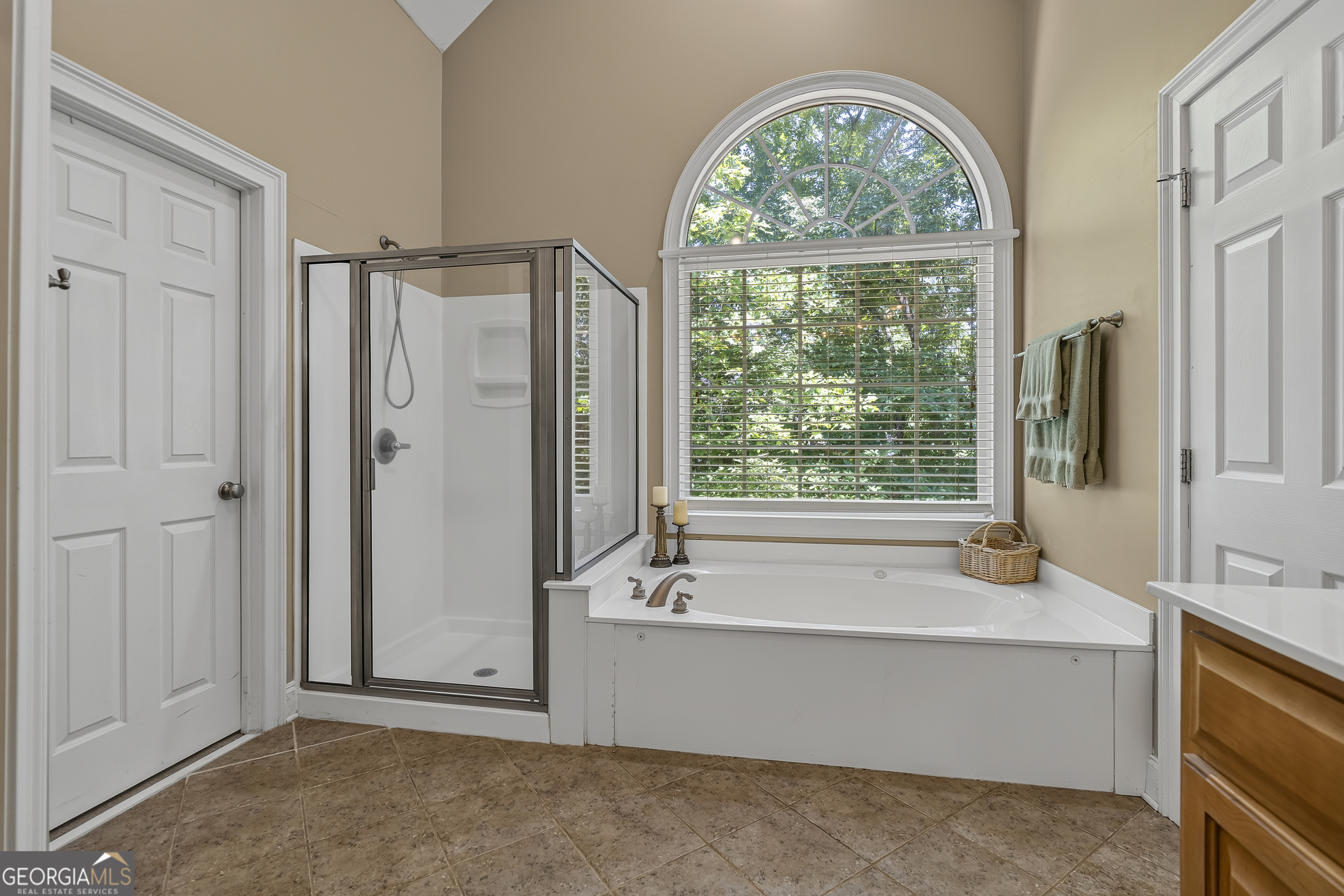 1041 Spring Lake Drive Property Photo 21