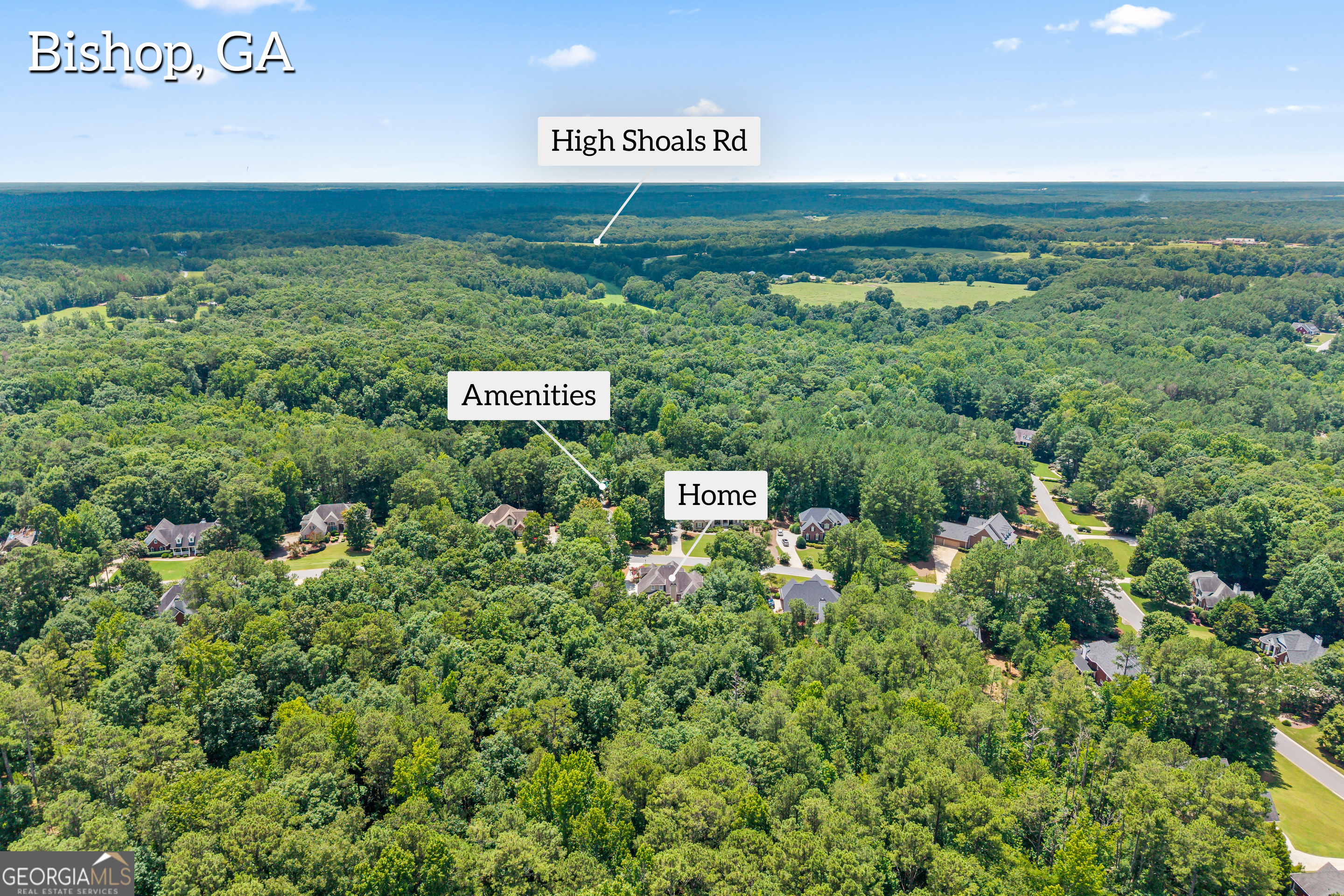 1041 Spring Lake Drive Property Photo 67