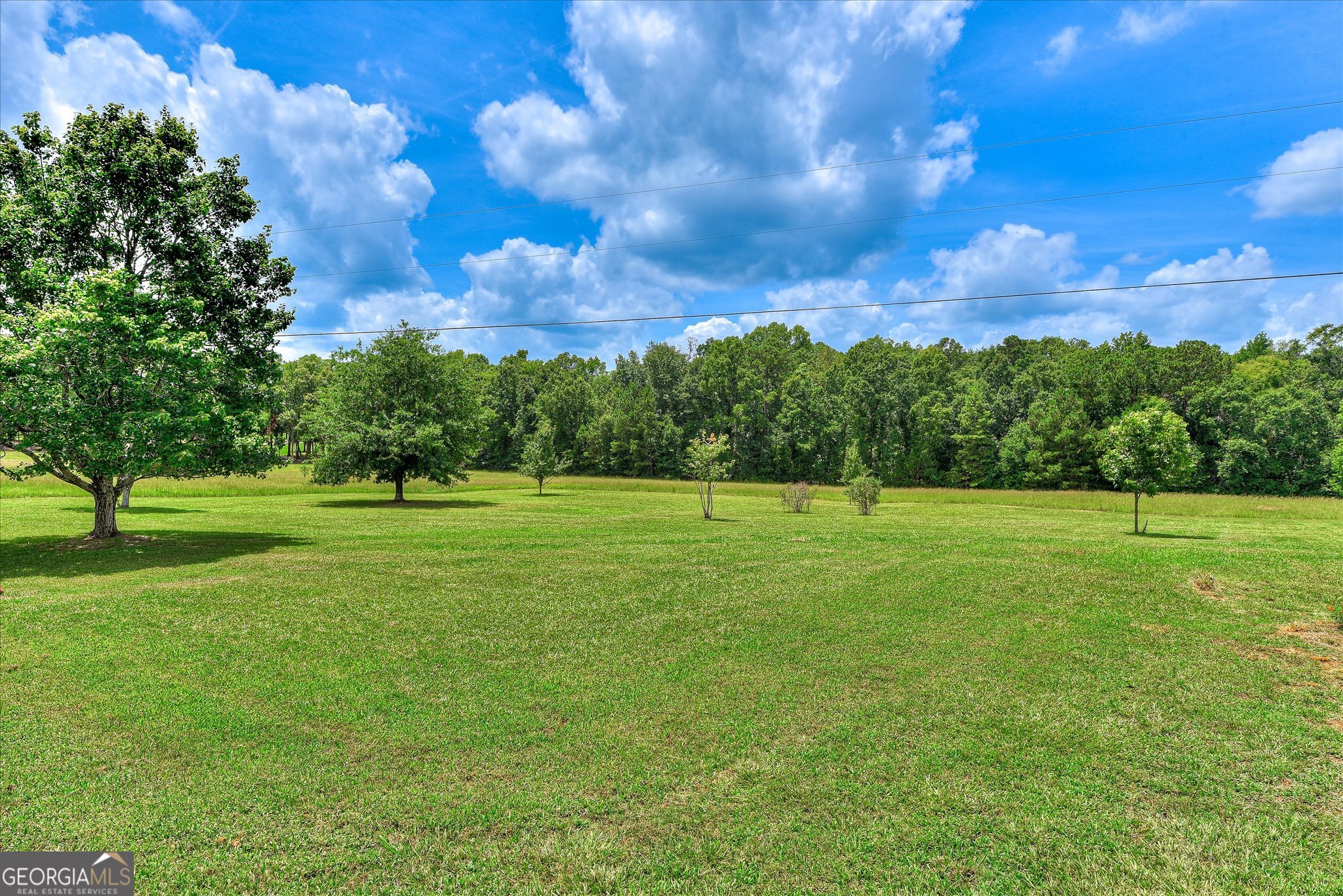 1229 Elberton Highway Property Photo 93