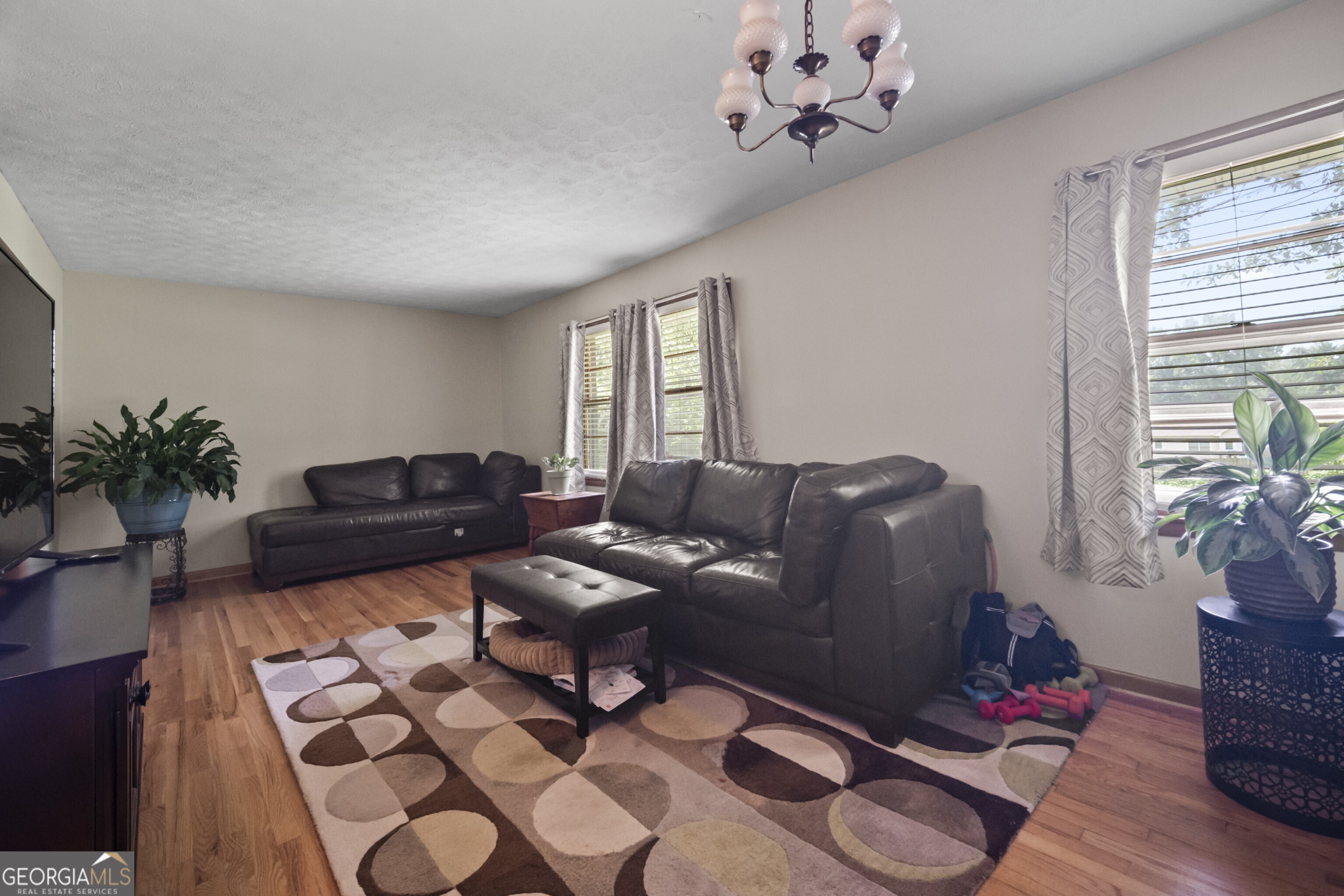 1810 Hasty Road Property Photo 8