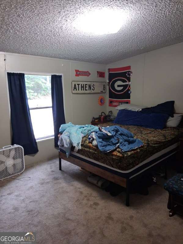 425 Sycamore Drive Property Photo 34