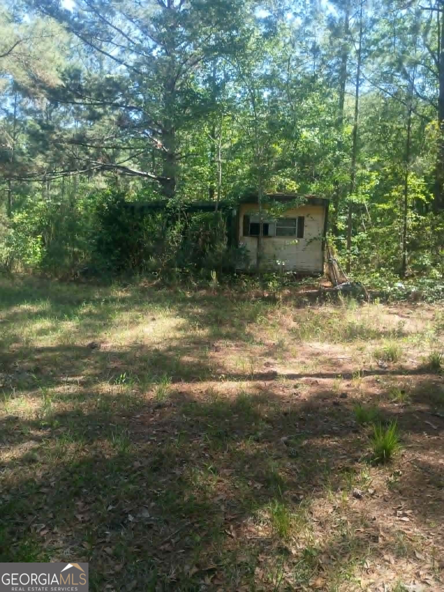 1196 Us Highway 319 N Property Photo 1