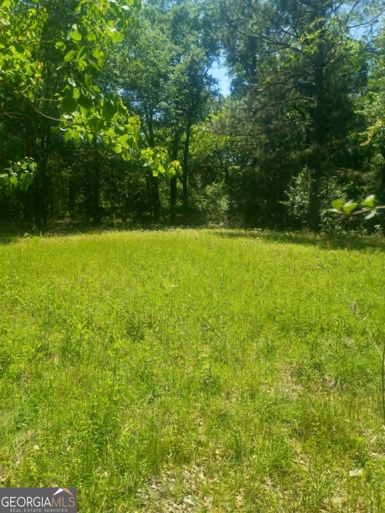 1196 Us Highway 319 N Property Photo 13