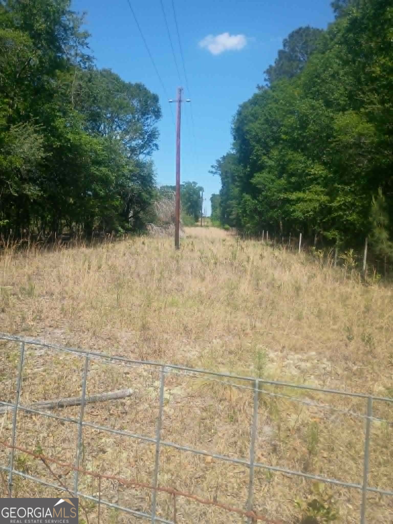 1196 Us Highway 319 N Property Photo 14