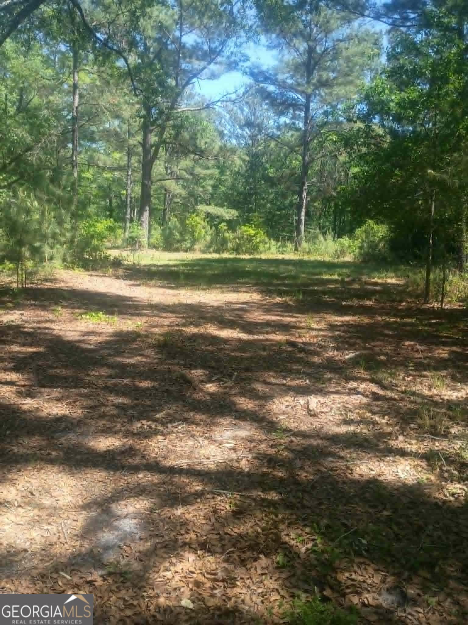 1196 Us Highway 319 N Property Photo 15