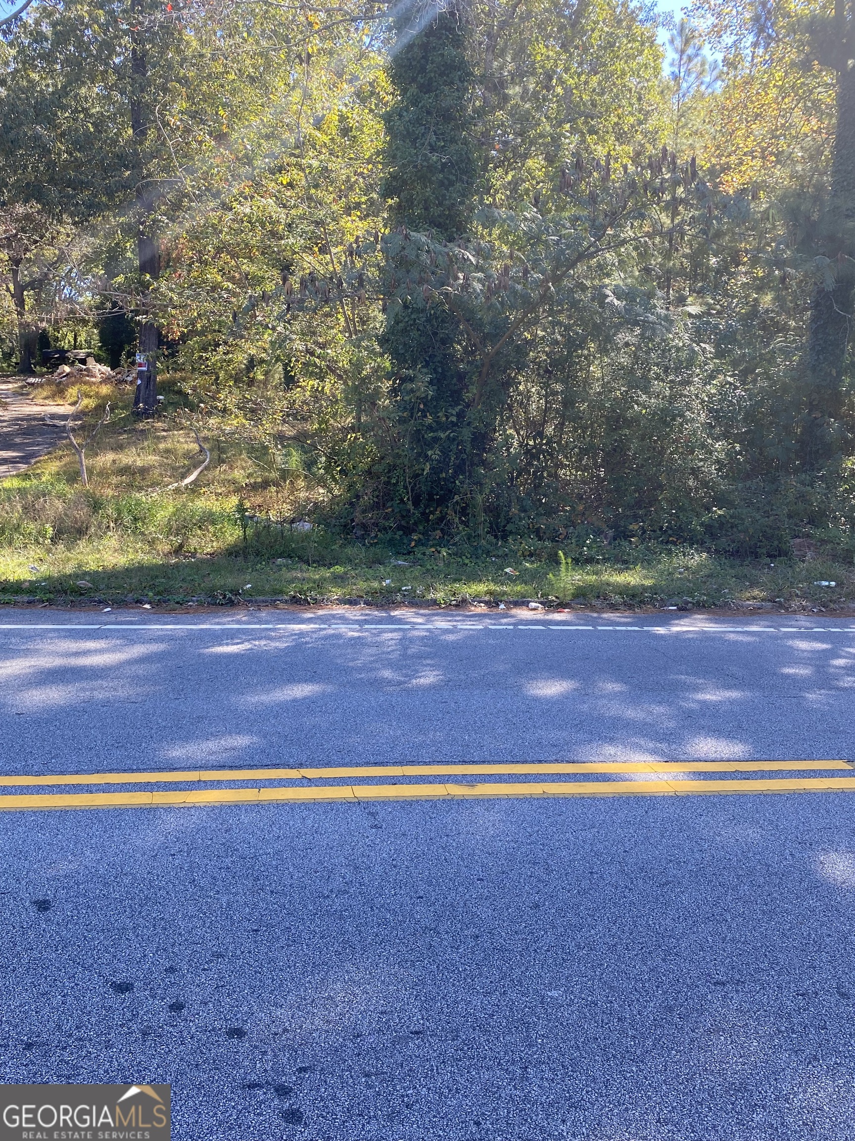 0 County Line Road Sw Property Photo 2