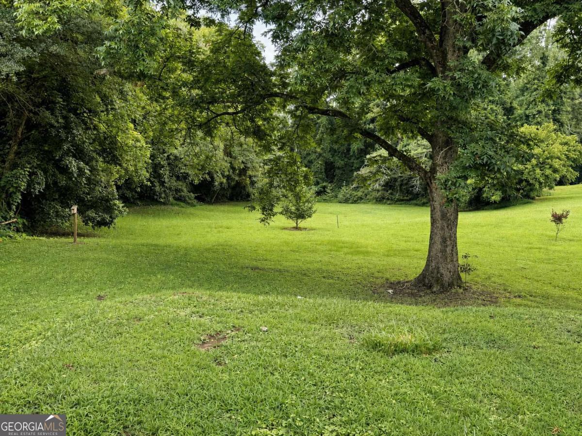 51 Carrollton Street Property Photo 26