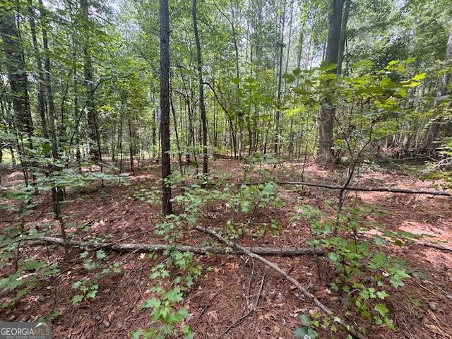 0 Highway 72 West Property Photo 8
