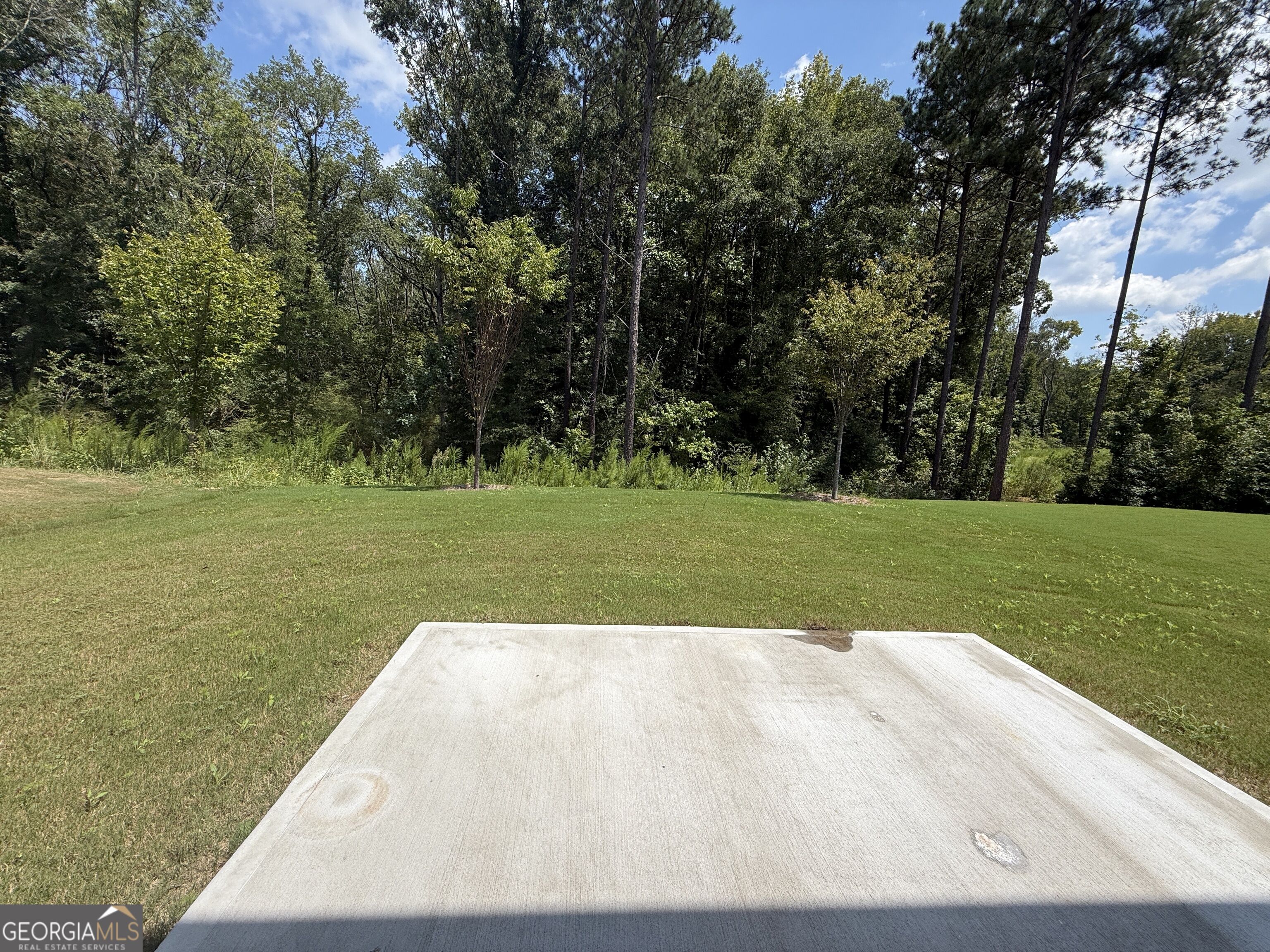 174 Woodbrook Trail Property Photo 45