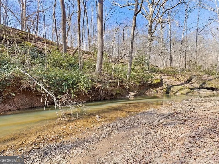 4732 Walnut Bend Drive Property Photo 64
