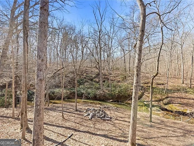 4732 Walnut Bend Drive Property Photo 65